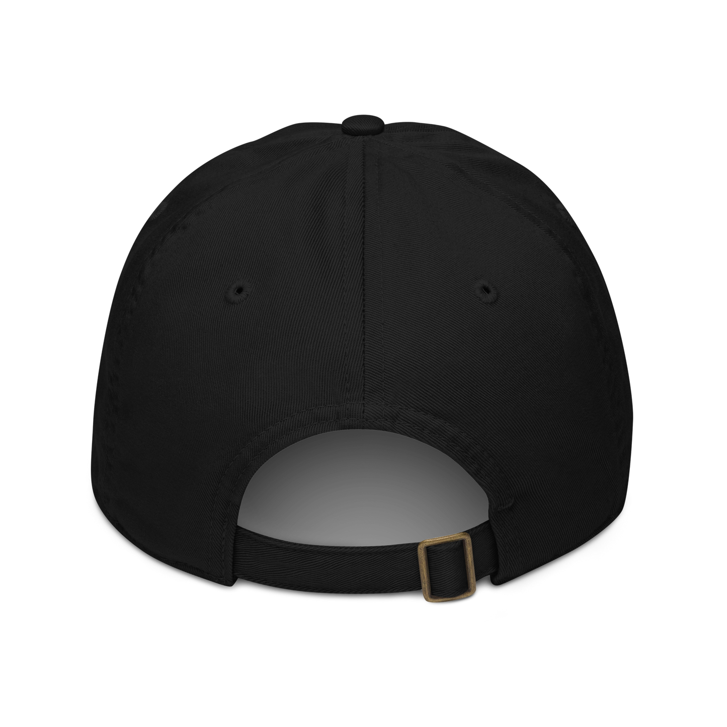 Spirit of Compassion with Matthew 18:11-12 Dad Hat