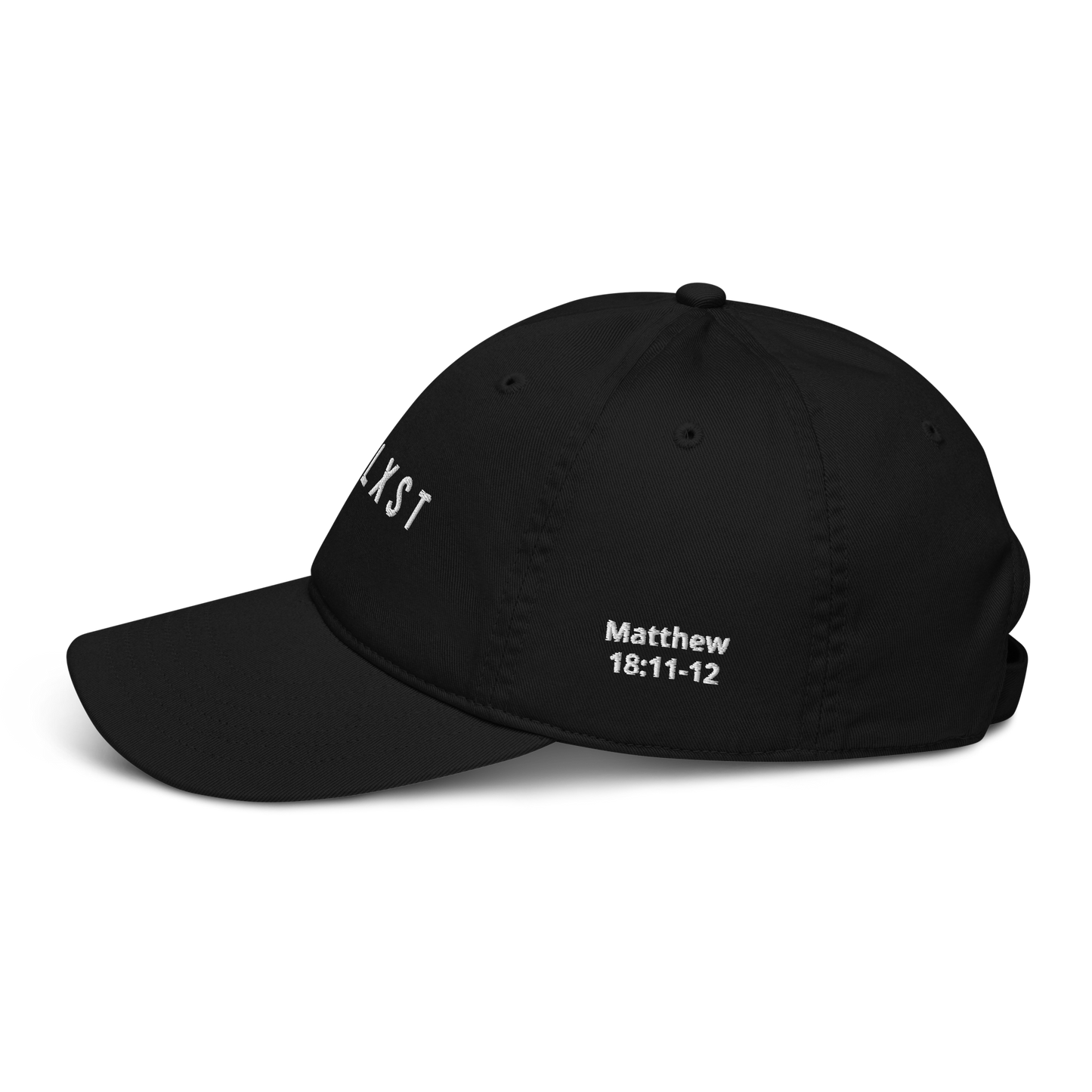Spirit of Compassion with Matthew 18:11-12 Dad Hat