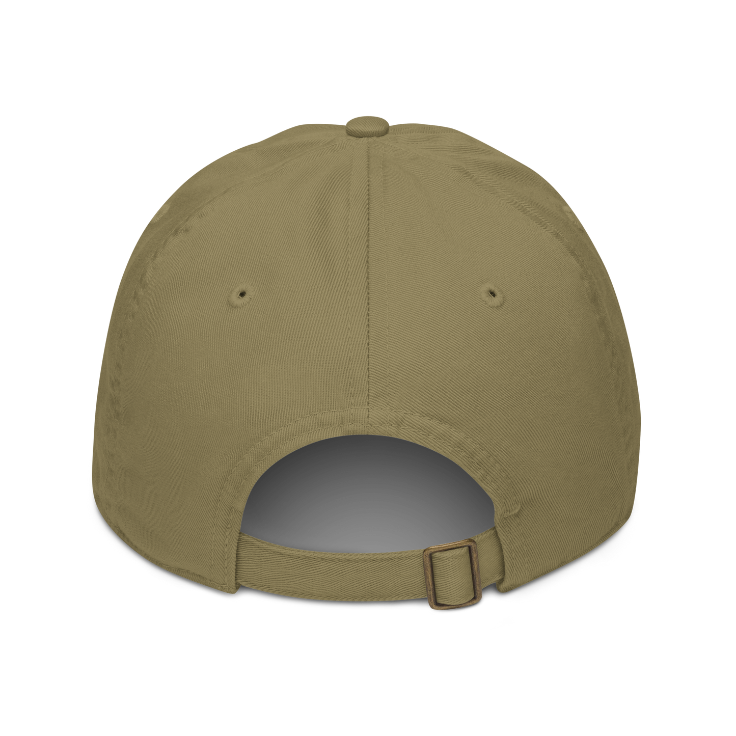 Spirit of Compassion with Matthew 18:11-12 Dad Hat