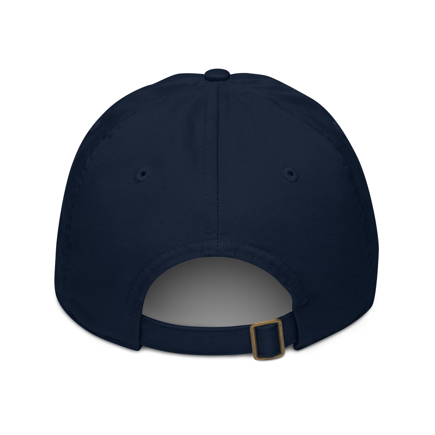 Spirit of Compassion with Matthew 18:11-12 Dad Hat