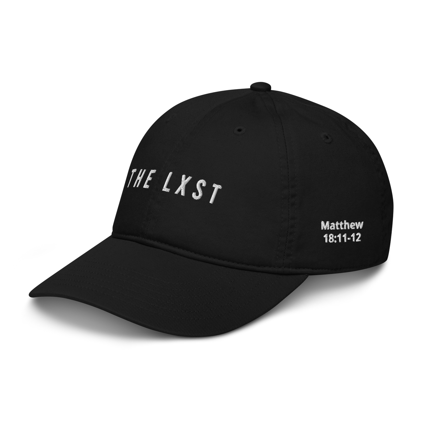 Spirit of Compassion with Matthew 18:11-12 Dad Hat
