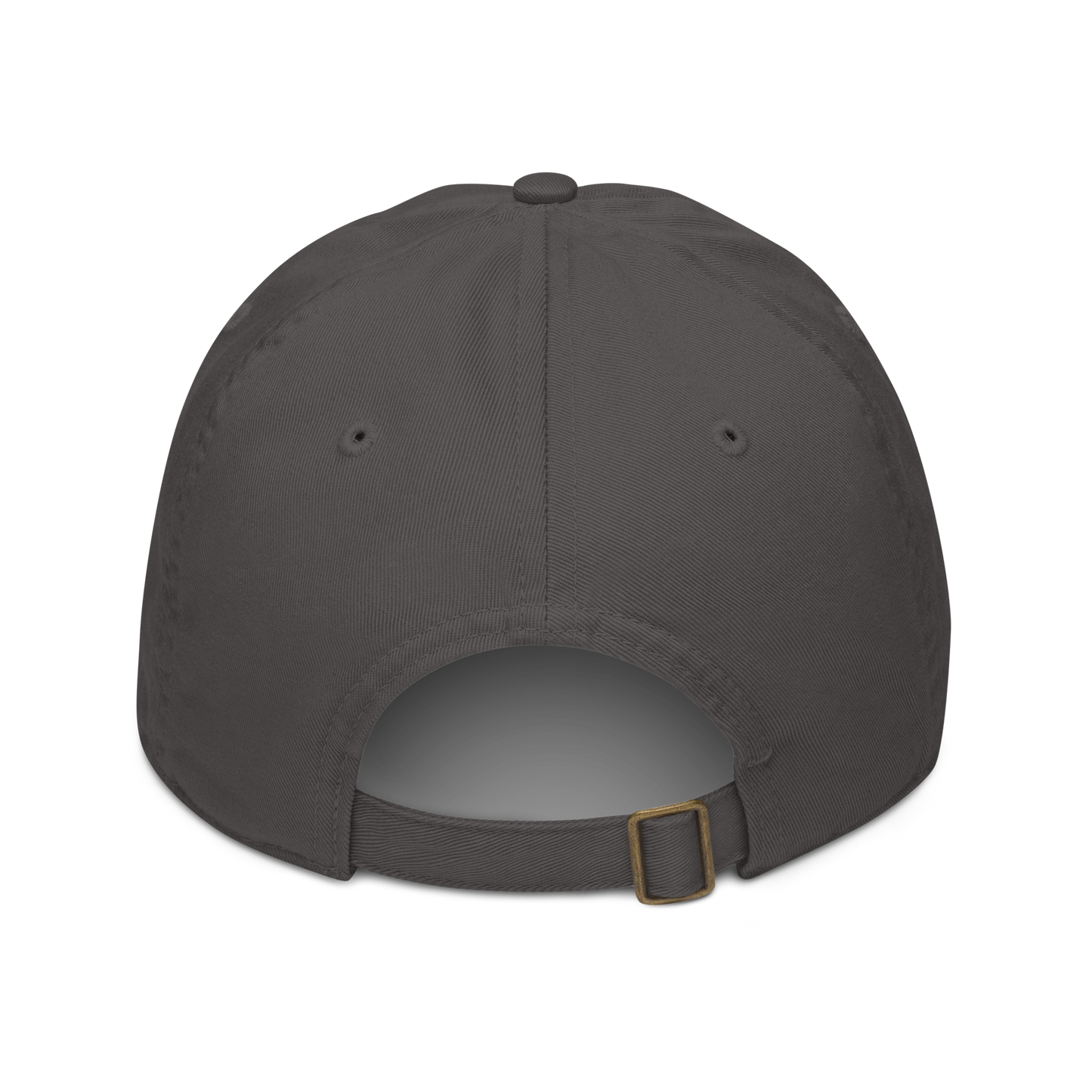 Spirit of Compassion with Matthew 18:11-12 Dad Hat