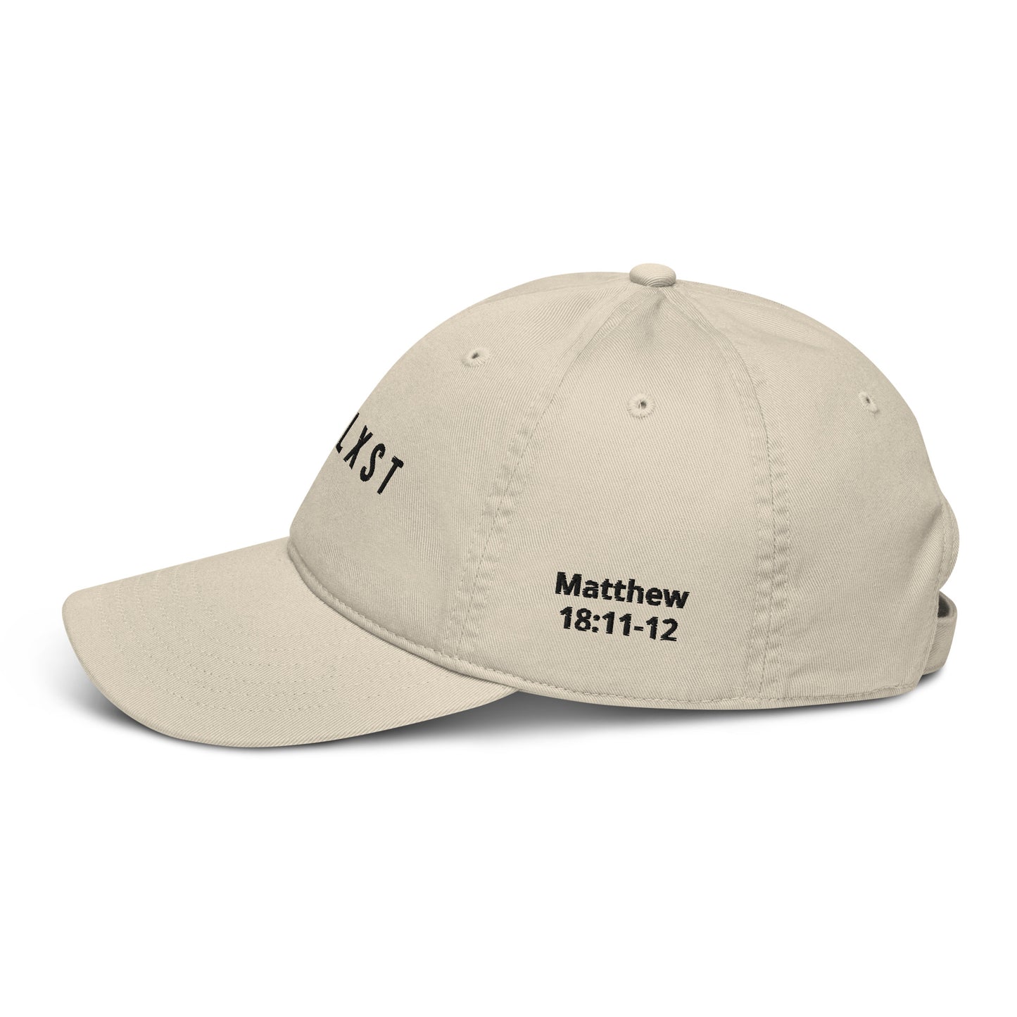 Spirit of Compassion with Matthew 18:11-12 Dad Hat